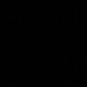 Meet your Posher, Cody